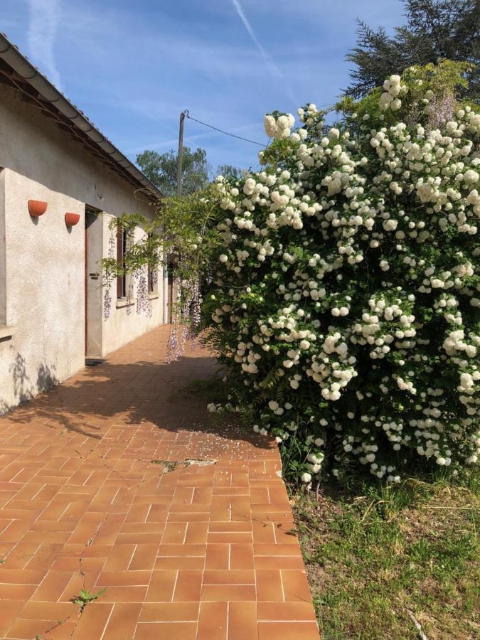 La Cabanes Senouillac Екстериор снимка